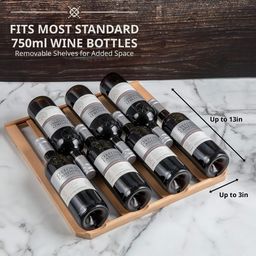 43 Bottle Dual Zone Wine Cooler Refrigerator Stainless Steel