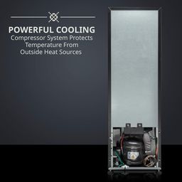 12 Bottle Compressor Wine Cooler Refrigerator Stainless Steel